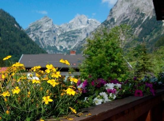 Ferienhaus Rosi Sankt Martin am Tennengebirge Cameră foto